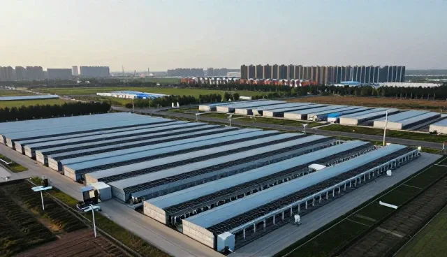 系统实施中技术支持的关键环节与常见问题应对策略